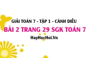 Giải bài 2 trang 29 Toán 7 Tập 1 SGK Cánh Diều: Số thập phân vô hạn tuần hoàn